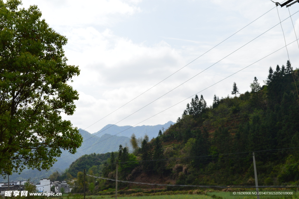 绿乡风景