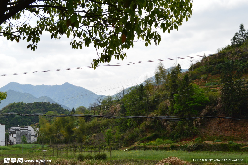绿乡风景