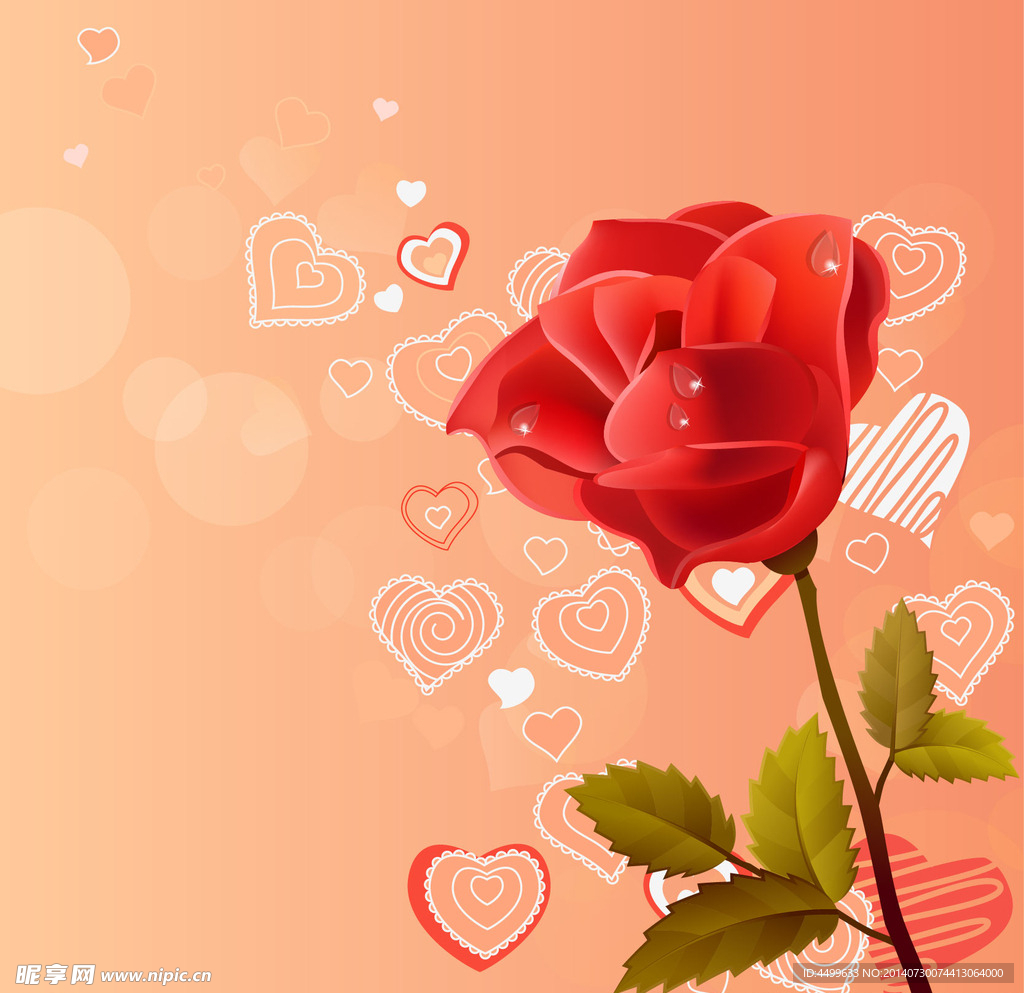 玫瑰花