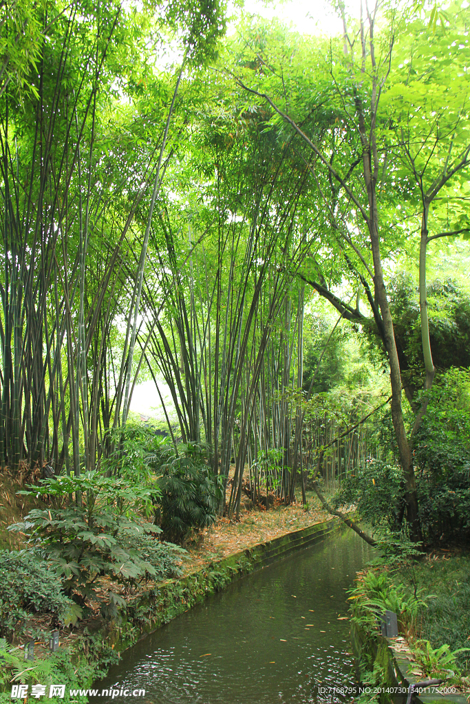 杜甫草堂小溪