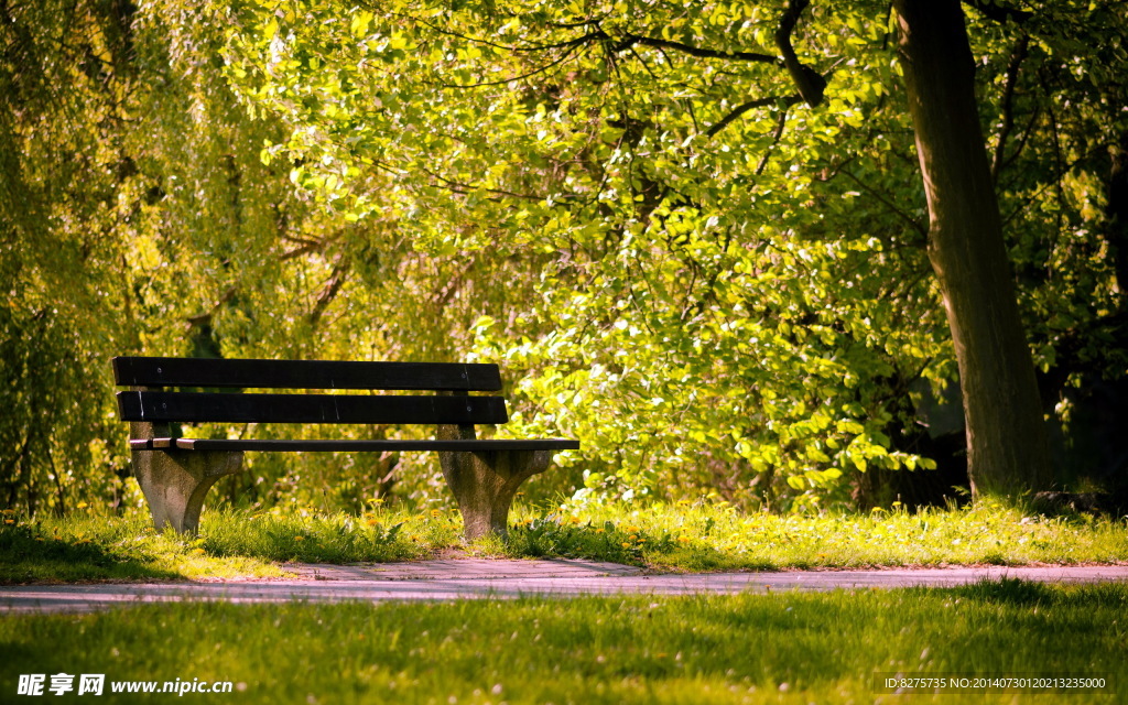公园长椅 夏天 阳光 