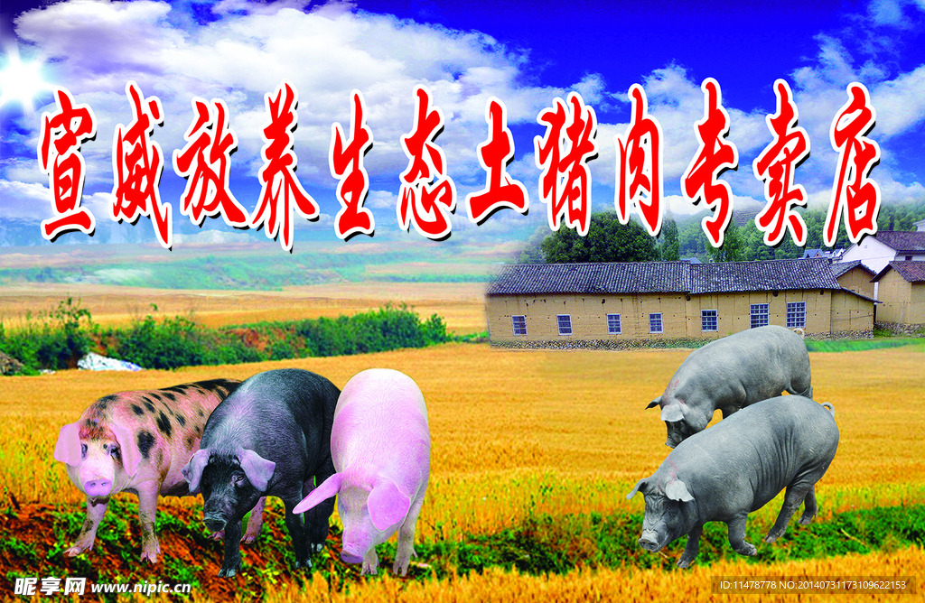 生态土猪肉