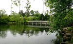西湖景色
