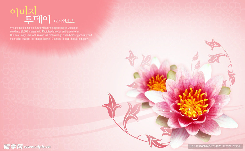 鲜花背景图片
