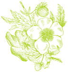 复古 手绘 花纹 矢量 