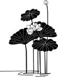 荷花矢量