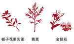 栀子花青蒿金银花矢量