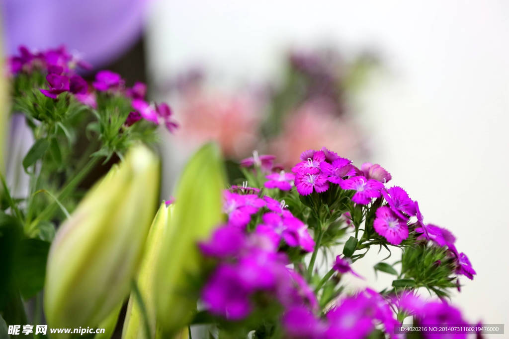 鲜花