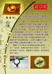 校园文化