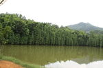 美景