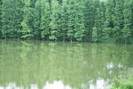 湖景