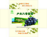 户太八号葡萄