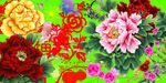花插图