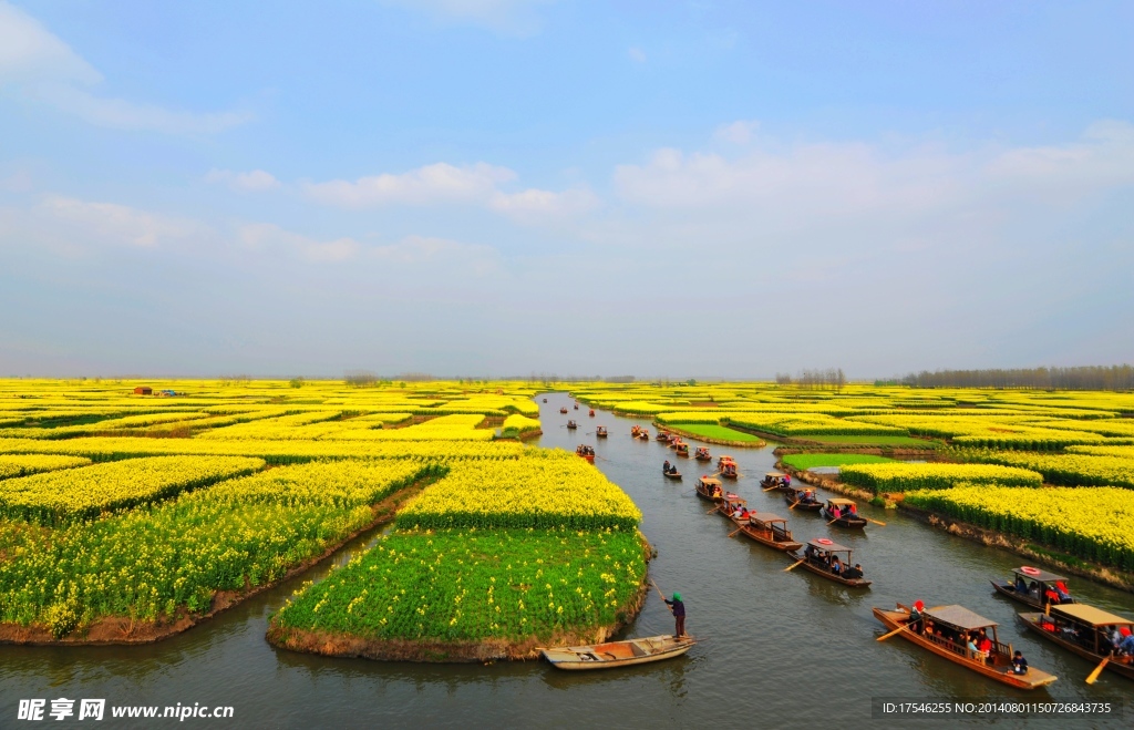 江南水乡 油菜花