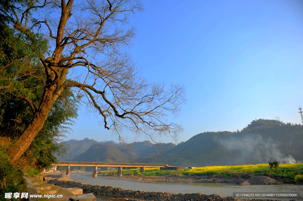 江南水乡 油菜花 山川