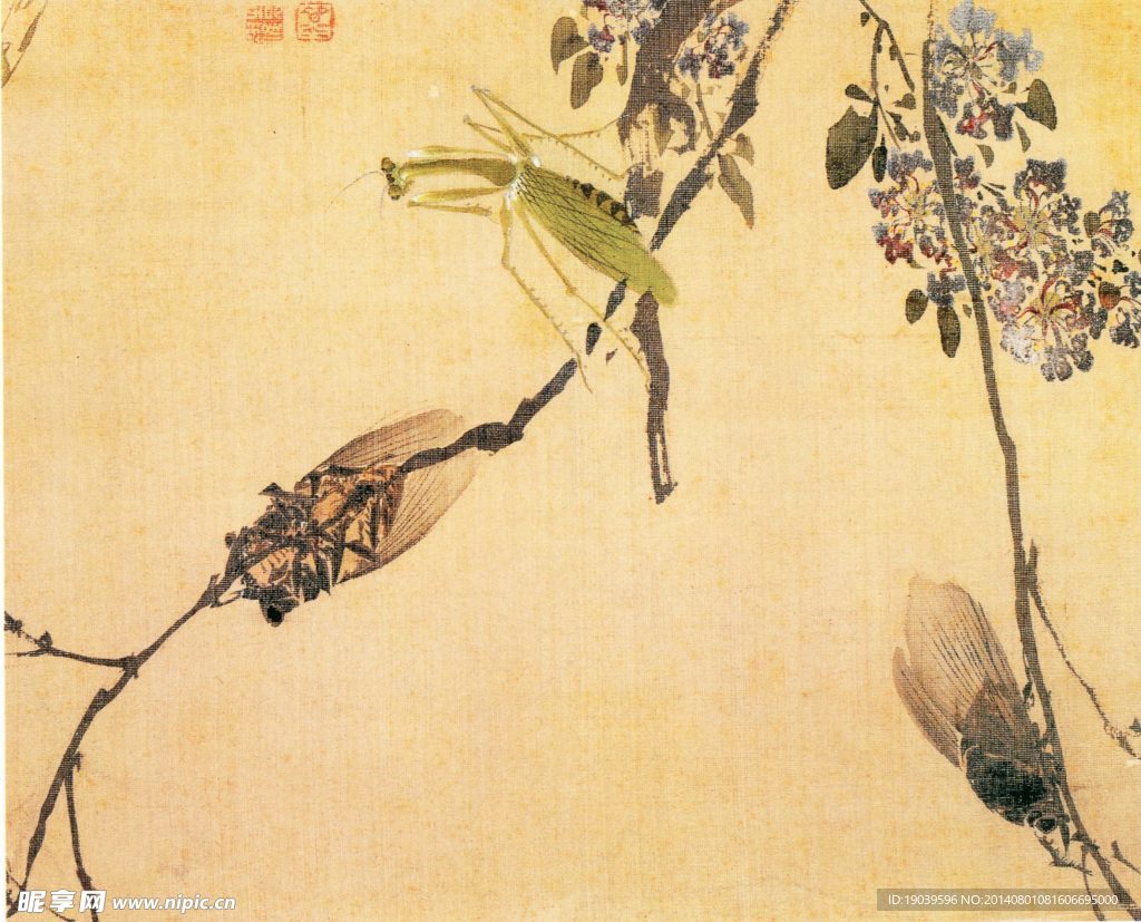 花鸟 国画