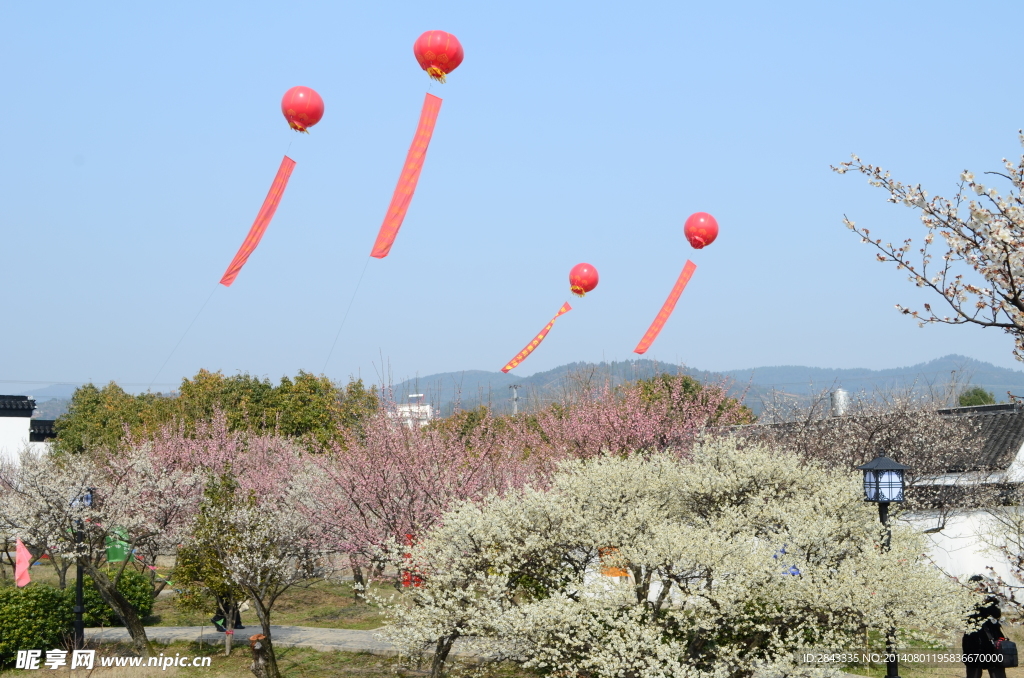 灵屋洞梅花节