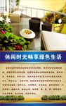 休闲时光绿色生活