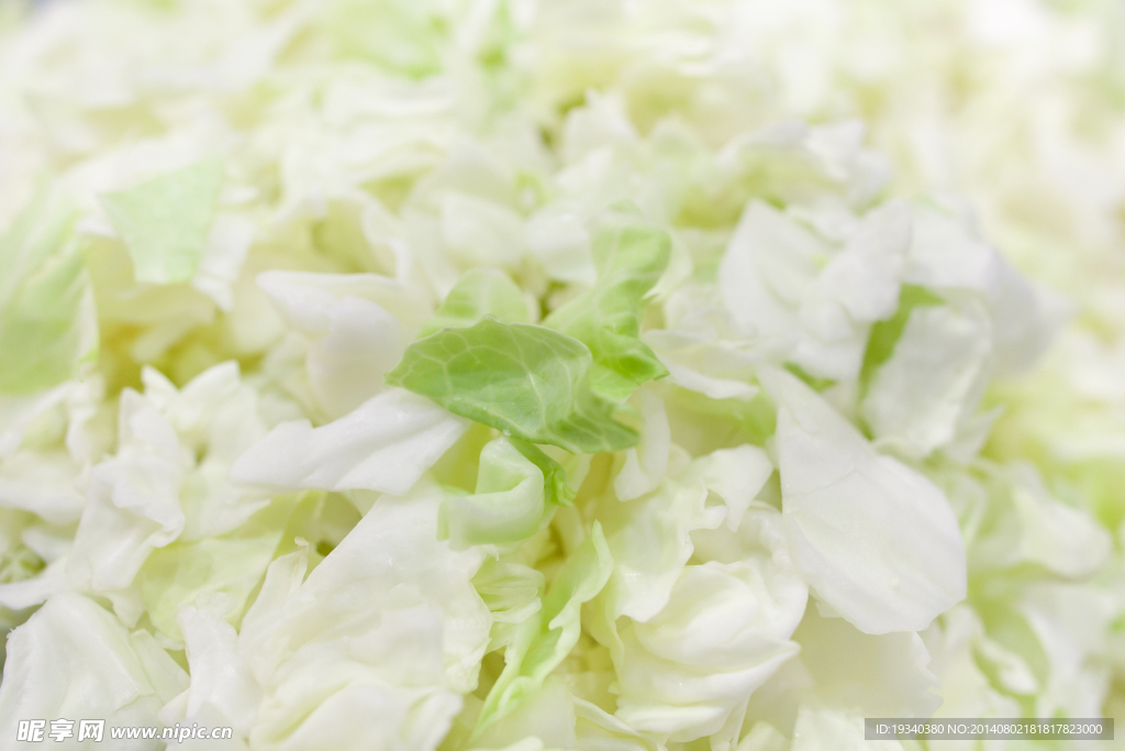 生菜片