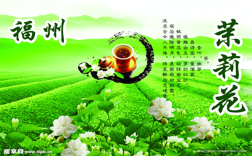 茉莉花茶