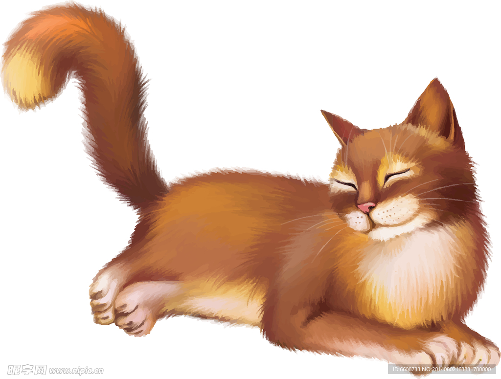 小猫 夜猫
