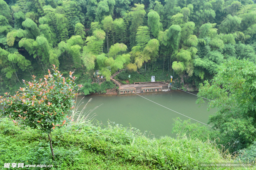 蜀南竹海  溪水