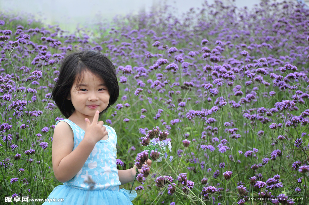 薰衣草女孩