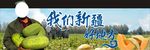 哈密瓜吊牌