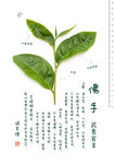 武夷岩茶-佛手