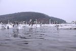 天鹅湖