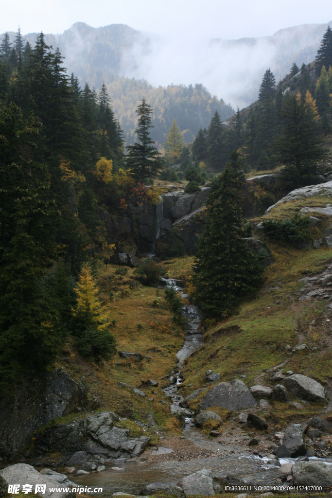 芦芽山