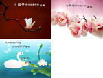 母亲节
