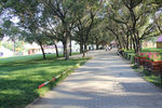 森林公园  公园道路