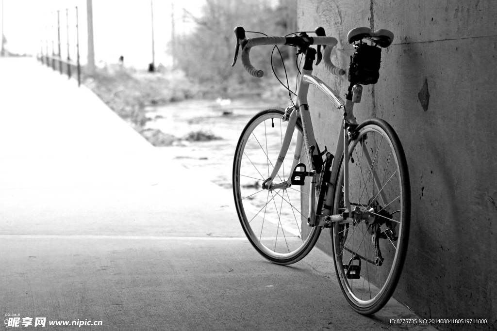 单车 自行车 单车摄影