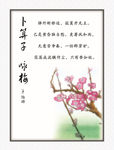 卜算子