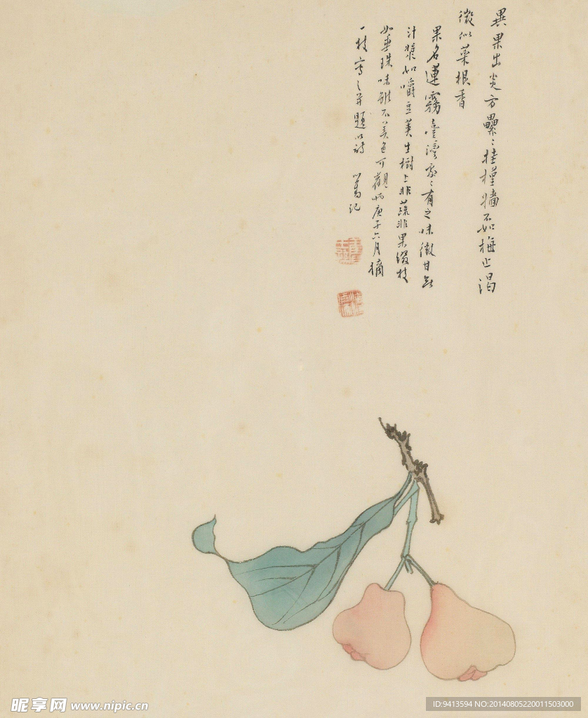 莲雾