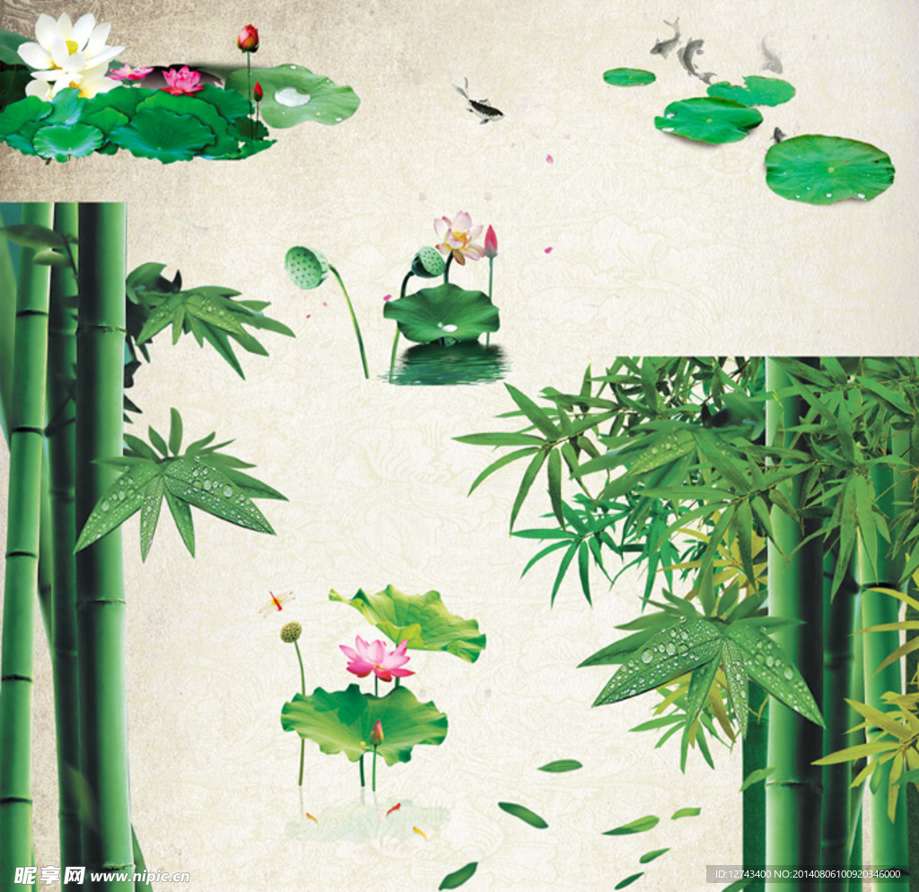 荷花