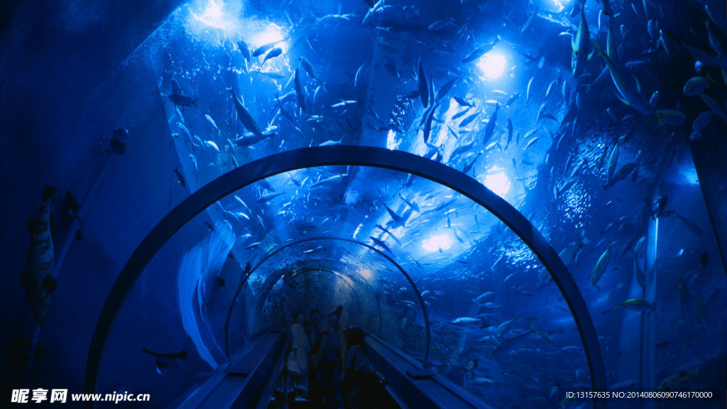 横滨神奈川县的水族馆