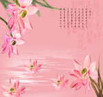 粉色对莲装饰画