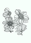 花纹
