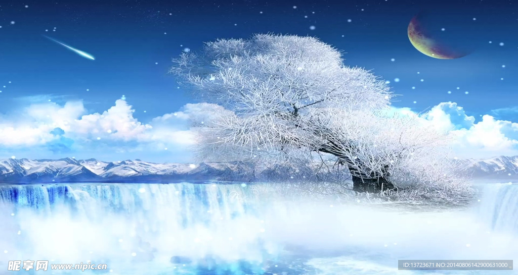 雪中的松树
