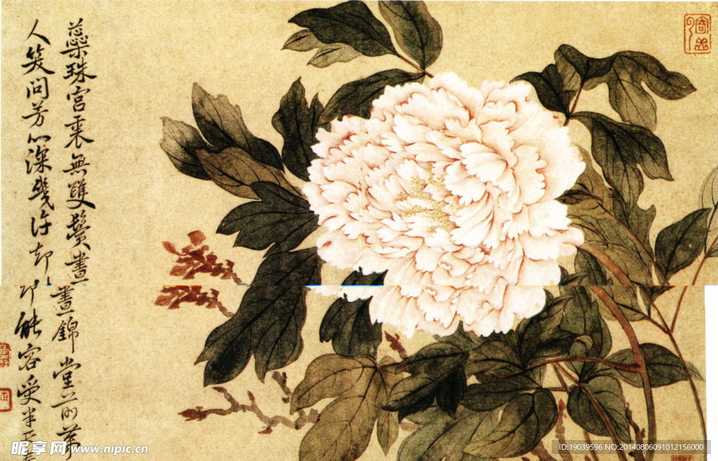 花 国画