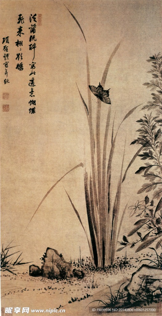 蝴蝶 国画
