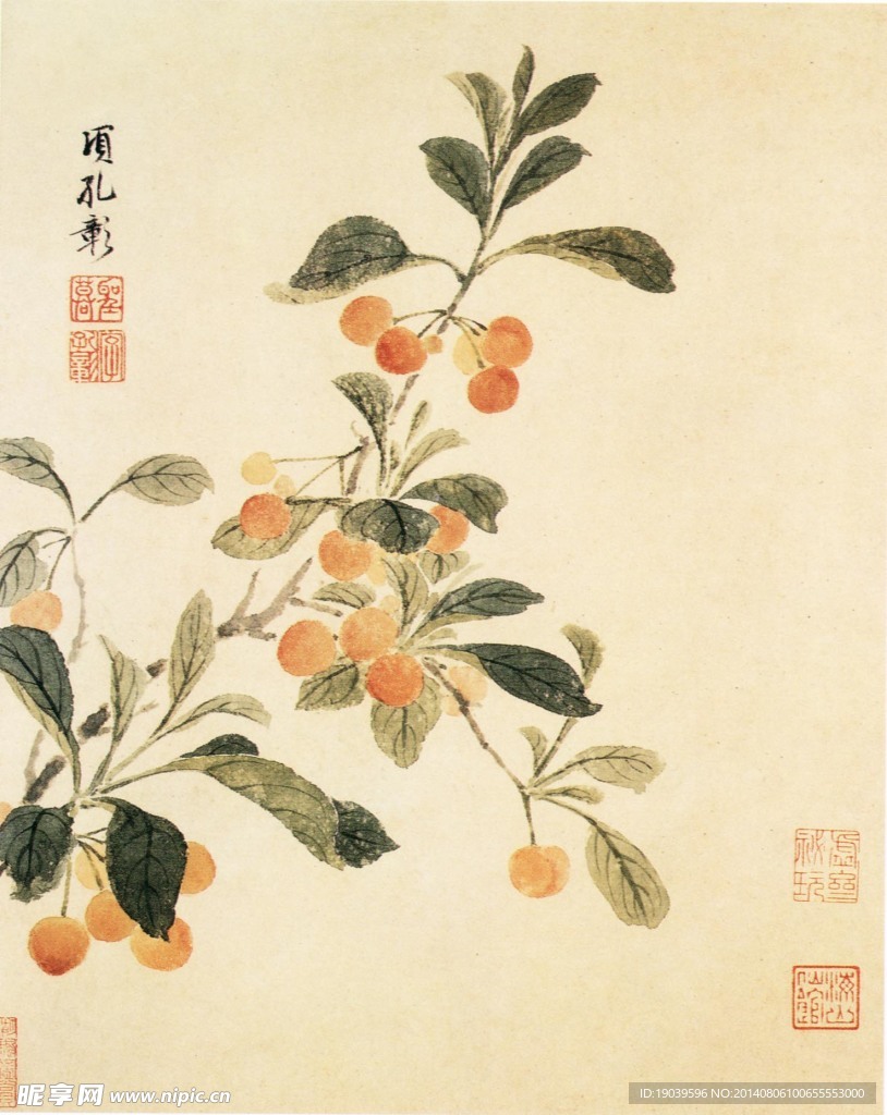 花 国画