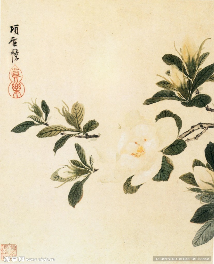 花 国画