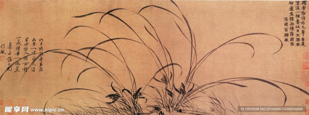 草 国画