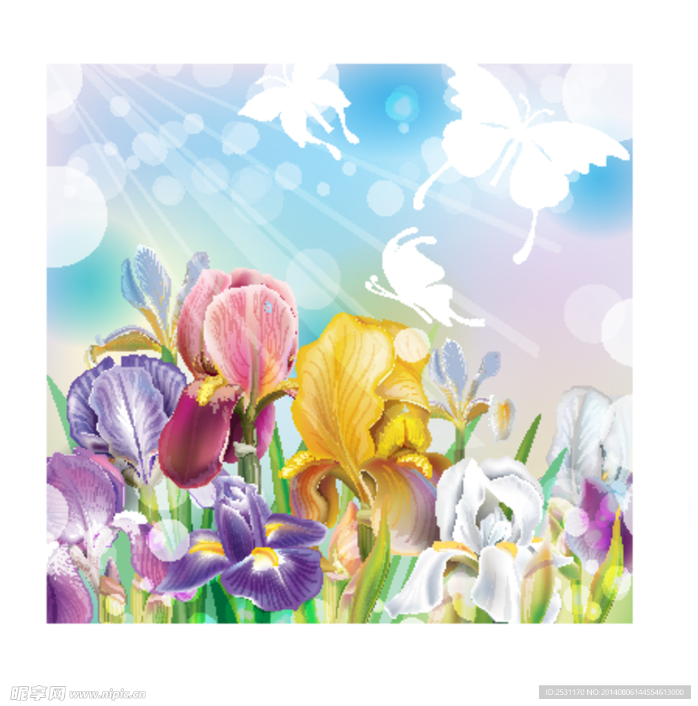 手绘花卉 花