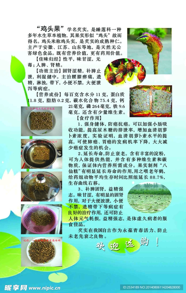 鸡头果单页DM传单