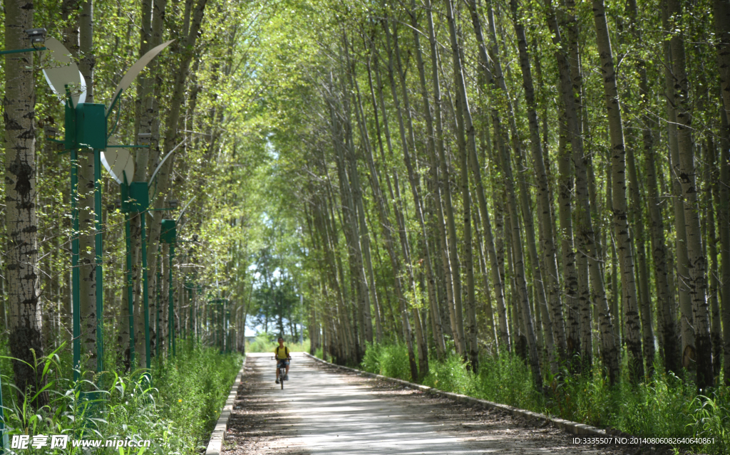 林间小路