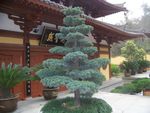寺庙